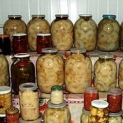 Зеленки соленые рецепт — Сад и огород