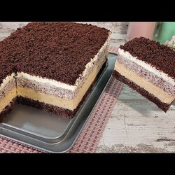 Знаменитый балканский торт ПЛАЗМА! Нежнейший! Очень быстро, просто и вкусно! Без желатина!