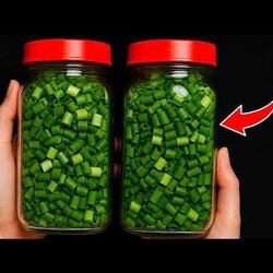 Как сохранить зеленый лук на 1 год –