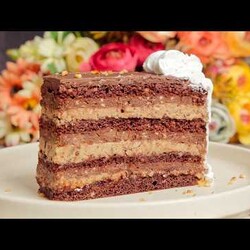 Najlepša POSNA torta koju sam napravila! Puna čokolade i lešnika!