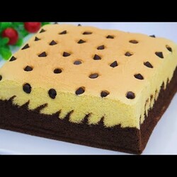 Saya Tidak Berhenti Makan Ketika Saya Membuat Ini! Chocolate Vanilla Castella Cake