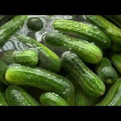 Малосольные огурцы Хрум Очень простой и быстрый рецепт