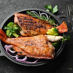 15 простых рецептов окуня в духовке