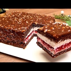 Leckerer Schokoladenkuchen für alle! Ein Geschmack, den man nicht beschreiben kann Keine Gelatine!