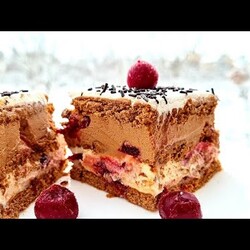 ZIMSKA SLADOLED TORTA sa višnjama koja se ne peče SVAKO JE MOZE NAPRAVITI -WINTER ICE CREAM CAKE