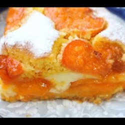 Bakina kuhinja-zašto je ovaj najkremastiji  i najbolji kolač sa kajsijama