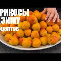 ВОТ ТАК нужно заготавливать АБРИКОСЫ: пять лучших способов хранения абрикосов НА ЗИМУ