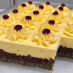 PATRICIJINE KOCKE SA MAKOM I VISNJOM