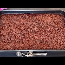 Le GÂTEAU le plus Moelleux et le plus Délicieux! Il Fond dans la bouche! Simple et très savoureux