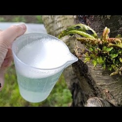 СТАКАН ВЫЛИВАЮ ВСЮ ТЛЮ УБИРАЮ #совет и тли больше нет