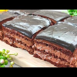 Neues Schokodessert dieses Sommers. Cremiger Kuchen der in ihrem Mund schmilzt.