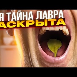 Уже неделю жую лавровый лист по 2-3 мин! Смотрите, что случилось