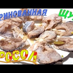 МАРИНОВАННАЯ ЩУКА "ПРОСОЛ" ЛУЧШИЙ РЕЦЕПТ
