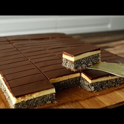 Ich fand dieses erstaunliche Rezept in einer alten Zeitung aus den 1856er Jahren.