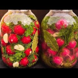 РЕДИСКА за 2 дня БЕЗ УКСУСА — моя семья съедает БАНКАМИ! Почему никто так не делает?