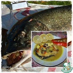 Щука под жОлтым соусом с шафраном