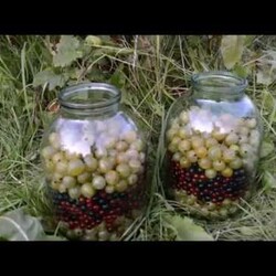 Делаем ягодную наливку. Лучший рецепт наливки по отзывам зрителей.