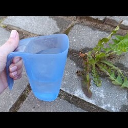 СТАКАН ПРОЛИЛА и ТРАВУ МЕЖДУ ПЛИТКОЙ УБРАЛА #совет