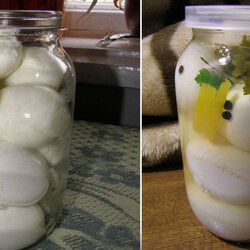 Зачем мариновать яйца в уксусе