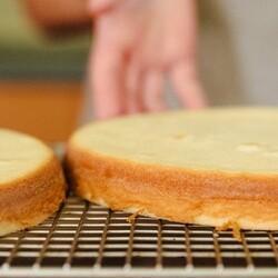 Вкусные коржи для торта - пошаговый рецепт с фото на Повар.ру