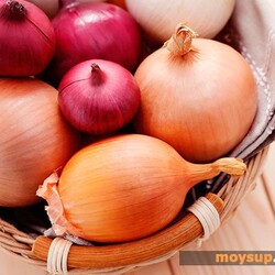 Салаты с репчатым луком - быстрые и вкусные рецепты