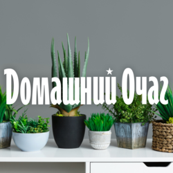 Простой рецепт десерта из печеных яблок в духовке