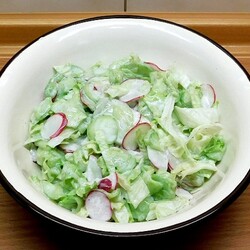 Салат из свежей молодой капусты с огурцом и редисом