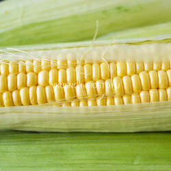 Как варить кукурузу