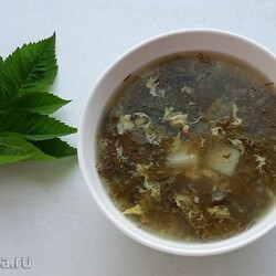 Зеленые щи со снытью и щавелем (+видео)