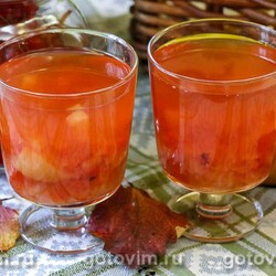 Компот из калины и яблок. Рецепт с фото