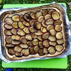 Сливовый пирог «Бюргерское счастье» – Вся Соль - кулинарный блог Ольги Баклановой