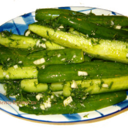 Малосольные огурцы быстрого приготовления | Готовим вкусно и по-домашнему