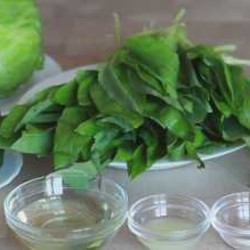 Салат из черемши: ТОП-9 рецептов просто и вкусно