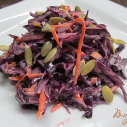 Салат из краснокочанной капусты - пошаговый рецепт с фото