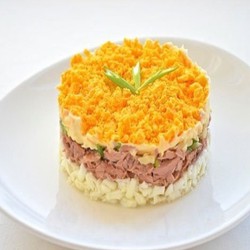 Как приготовить салат Мимоза, самые вкусные и популярные рецепты