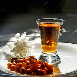 Настойка из облепихи на водке, спирту и самогоне, рецепты приготовления, видео