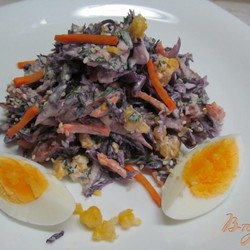 Салат из краснокочанной капусты - пошаговый рецепт с фото