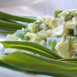 Рецепты салатов из черемши