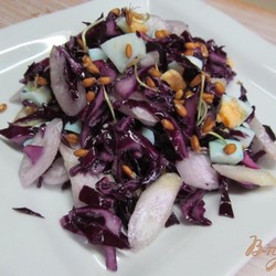 Салат из краснокочанной капусты с яйцом и ростками пшеницы - пошаговый рецепт с фото