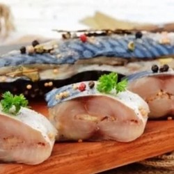 Соленая скумбрия в домашних условиях - очень вкусные и несравненные рецепты