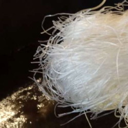 Салат Фунчоза с домашним соусом