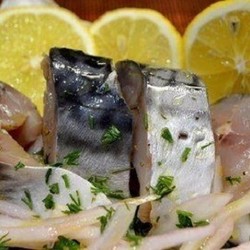 Скумбрия пряного посола в домашних условиях: рецепты
