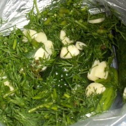 Малосольные огурцы в пакете за 3 часа: не меняют цвет