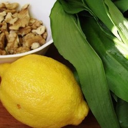 Черемша: рецепты приготовления соуса, салатов и маринованной закуски