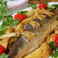 Форель в духовке