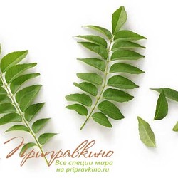 Всё про приправу карри: состав, польза и вред, как приготовить и многое другое