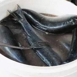 Домашняя засолка селёдки