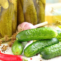 Огурцы по-болгарски: отлично хранятся при комнатной температуре