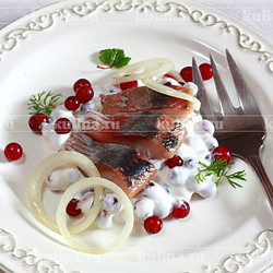 Селедка со сметаной – рецепт приготовления с фото от Kulina.Ru