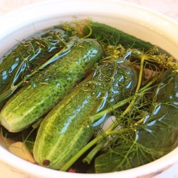 Быстрые малосольные огурцы - рецепт с фото пошагово